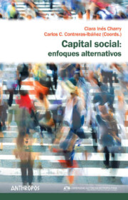 Portada de Capital Social: Enfoques Alternativos