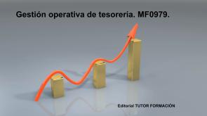 Gestion Operativa De Tesoreria. Mf0979 (2015)