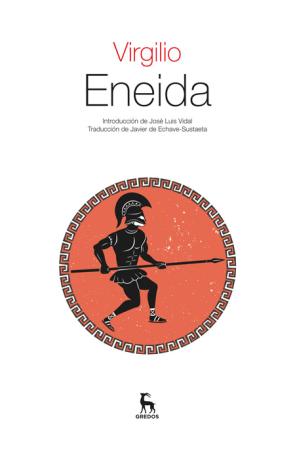 Libro Eneida (2014)