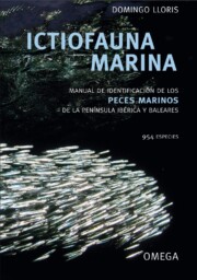 Portada de Ictiofauna Marina