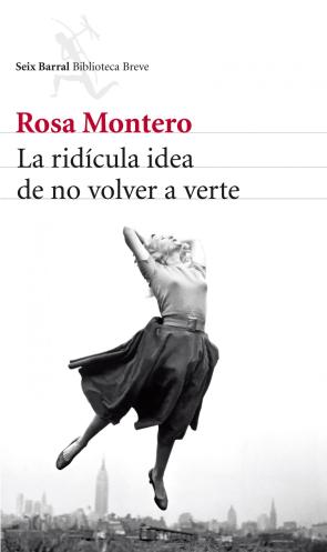 La Ridicula Idea De No Volver a Verte (2013)