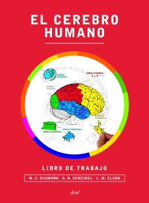 El Cerebro Humano: Libro De Trabajo (2014)