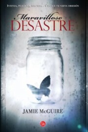 Libro Maravilloso Desastre (2014)