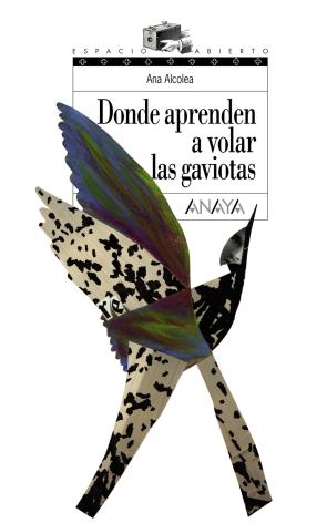 Libro Donde Aprenden a Volar las Gaviotas (2007)