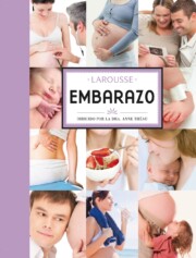 Portada de (pe) Embarazo (2012)