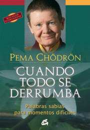 Libro Cuando Todo Se Derrumba (2012)