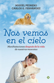 Portada de Nos Vemos en el Cielo