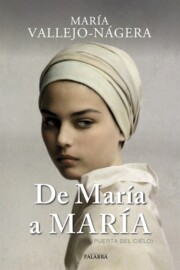 Libro De Maria a Maria (2015)