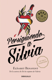 Portada de Persiguiendo a Silvia