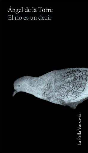 Libro El Rio Es un Decir (2015)