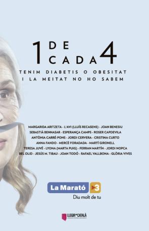 Libro Diabetis I Obesitat (2015)