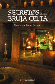 Portada de Secretos De Una Bruja Celta