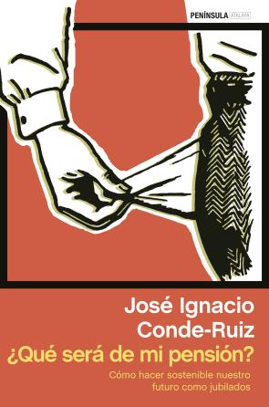 Libro ¿que Sera De Mi Pension? (2014)