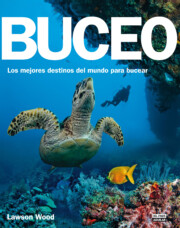 Portada de Buceo: los Mejores Destinos del Mundo para Bucear