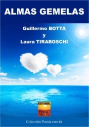 Portada de Almas Gemelas