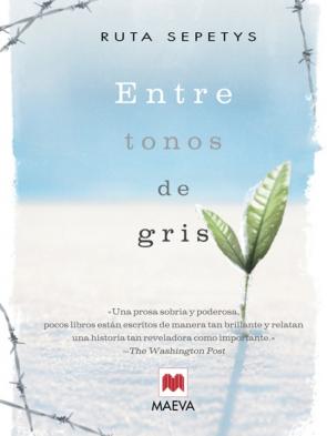 Libro Entre Tonos De Gris (2011)
