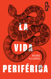 Portada de La Vida Periferica