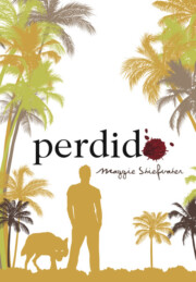 Portada de Perdido