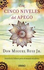 Portada de Los Cinco Niveles del Apego