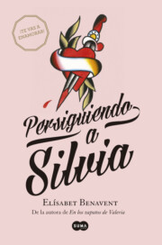 Libro Persiguiendo a Silvia (2014)