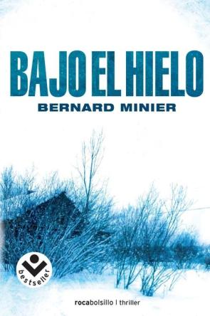 Libro Bajo el Hielo (2012)