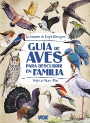 Portada de Guia De Aves para Descubrir en Familia