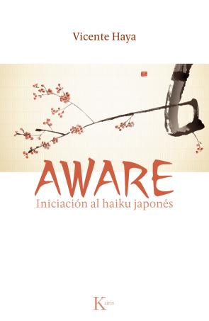 Libro Aware (2013)