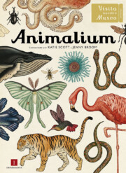 Portada de Animalium