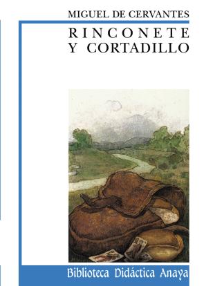 Libro Rinconete y Cortadillo (2005)