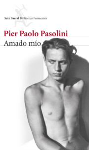 Portada de Amado Mio