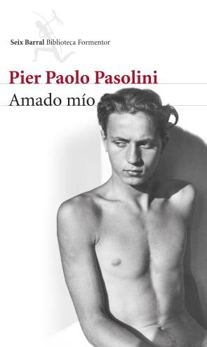Libro Amado Mio (2014)