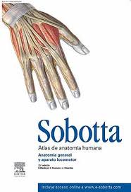Libro Sobotta: Atlas De Anatomia Humana (vol 1) (23ª Ed.):anatomia General y del Aparato Locomotor (2012)