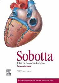 Libro Sobotta: Atlas De Anatomia Humana (vol.2) (23ª Ed): Anatomia De los Organos Internos (2012)