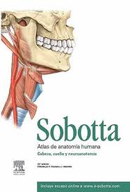 Libro Sobotta: Atlas De Anatomia Humana (vol.3) (23ª Ed.): Anatomia De la Zona Correspondiente a la Cabeza, Cuello y la Neuroanatomia (2012)