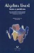 Libro Algebra Lineal: Teoria y Problemas (curso para Ingeniera Tecnica Industrial, Ingenieria Tecnica De Obras Publicas y Arquitectura Tecnica) (2005)
