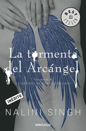 Libro La Tormenta del Arcangel (2013)