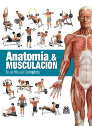 Portada de Anatomia & Musculacion. Guia Visual Completa
