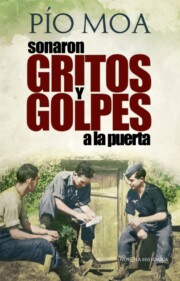 Libro Sonaron Gritos y Golpes a la Puerta (2012)