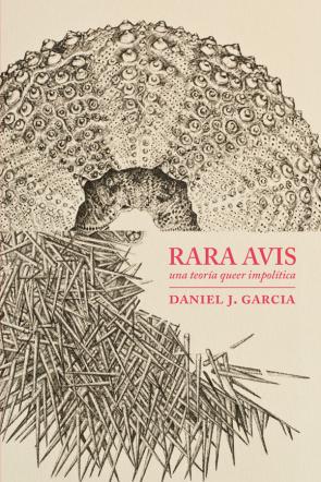 Libro Rara avis: una teoria queer impolitica (2016)