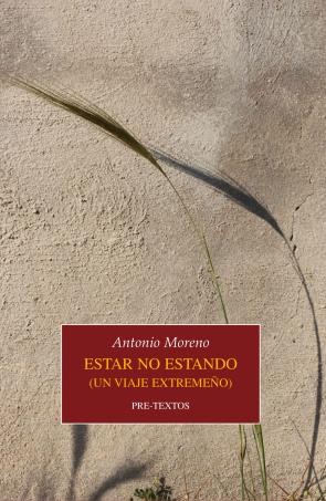 Libro Estar no estando (2016)