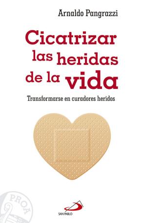 Libro Cicatrizar las heridas de la vida (2016)