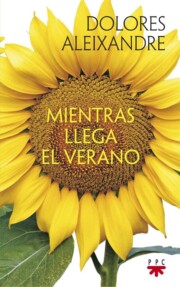 Portada de Mientras llega el verano