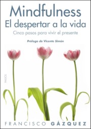 Portada de (pe) mindfulness. el despertar de la vida (2012)