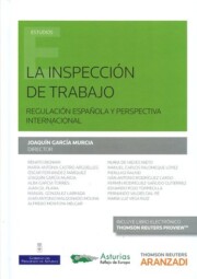 Portada de La inspeccion de trabajo