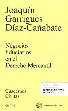 Libro Negocios fiduciarios en el derecho mercantil (2016)