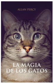 Portada de (pe) la magia de los gatos (2009)