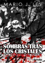 Libro Sombras tras los cristales (2016)