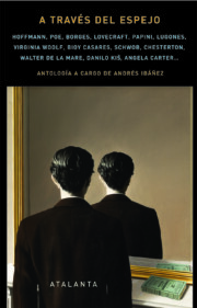 Libro A traves del espejo (2016)