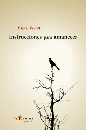 Libro Instrucciones para amanecer (2016)