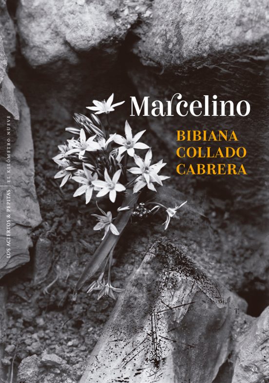 Libro Marcelino